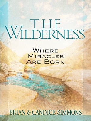 cover image of The Wilderness